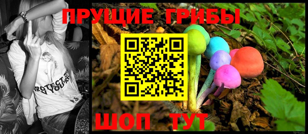 Ишим  Псилоцибиновые грибы Psilocybine cubensis  Вход с VPN 